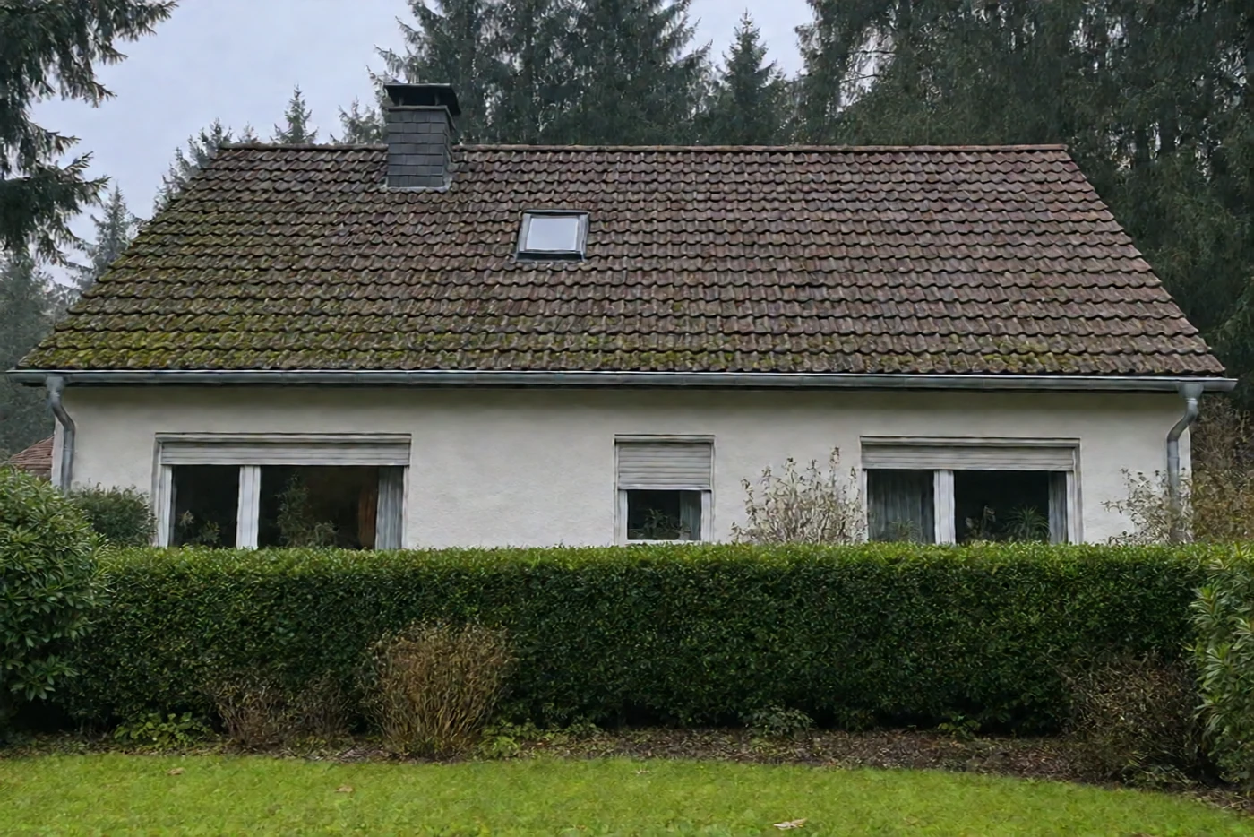 Bemoostes Dach vor der Reinigung (Kronshagen, Kreis Rendsburg-Eckernförde)