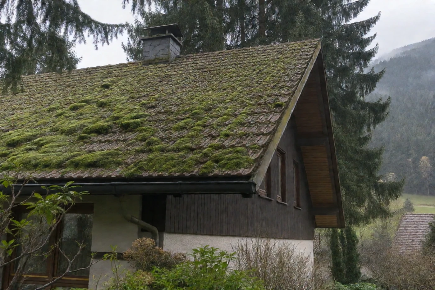 Vorher: Dach und Giebel vom Garten aus: vermoost, dann sauber (Sohland am Rotstein)